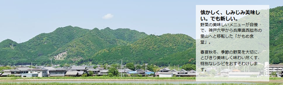 かもめ食堂 野菜が美味しい季節のおそうざい